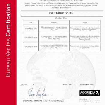 1--CertificateIT318413-2